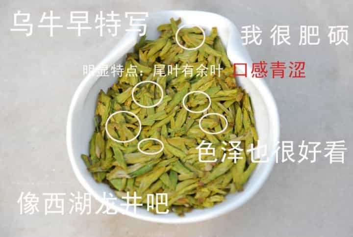 西湖龙井茶有哪些品种？各自的特点是什么？