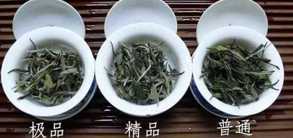 白牡丹茶的味道、形状、颜色的介绍