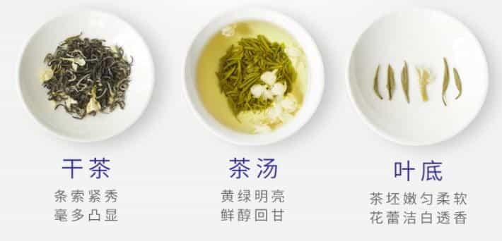 碧潭飘雪是什么茶，怎么样