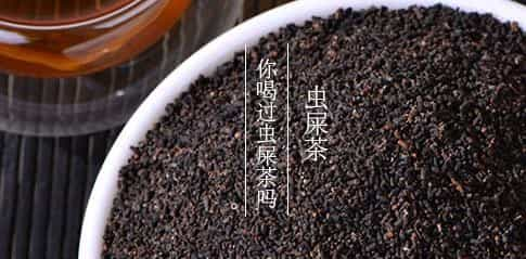 虫屎茶是什么茶