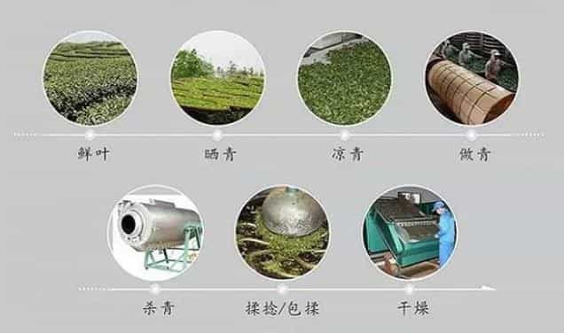 简述乌龙茶的加工工艺和流程