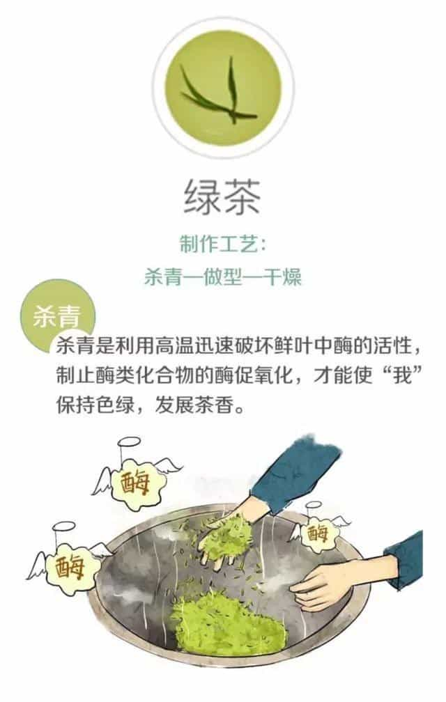 茶叶是怎么制作出来的