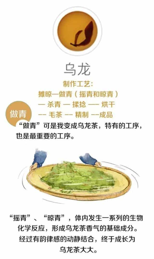 茶叶是怎么制作出来的