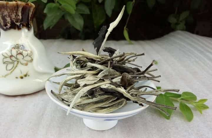 茶毫与茶叶品质有什么关系？