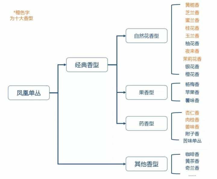 一文读懂单丛茶，凤凰单丛的香型及特点介绍