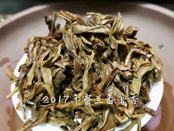 茶叶百科之蜜兰番薯香