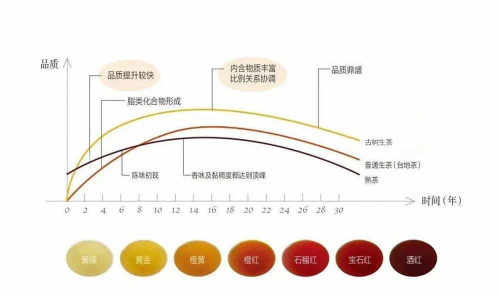 普洱茶什么发酵方式