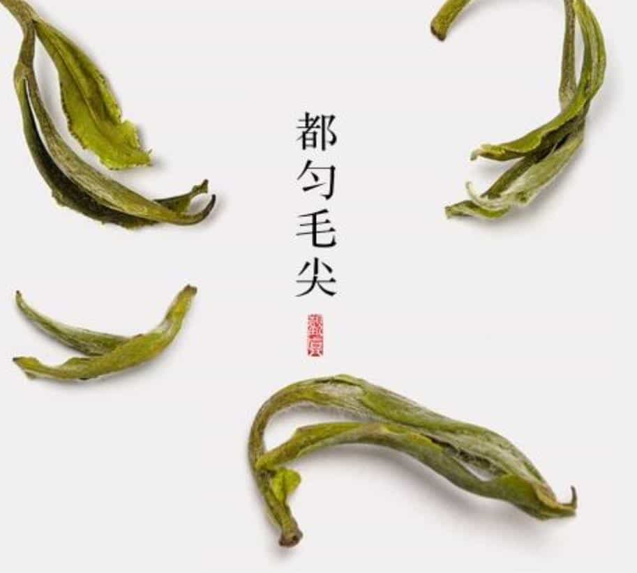 都匀毛尖茶产地在哪里