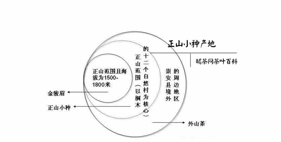 正山小种属于红茶还是绿茶