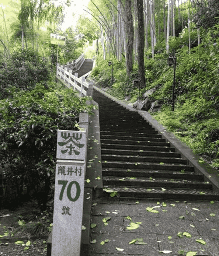 龙井茶二级和三级的区别