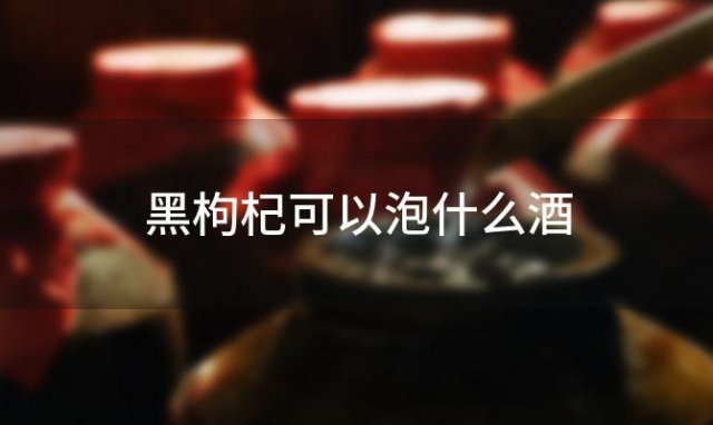 黑枸杞可以泡什么酒(黑枸杞泡什么酒好)