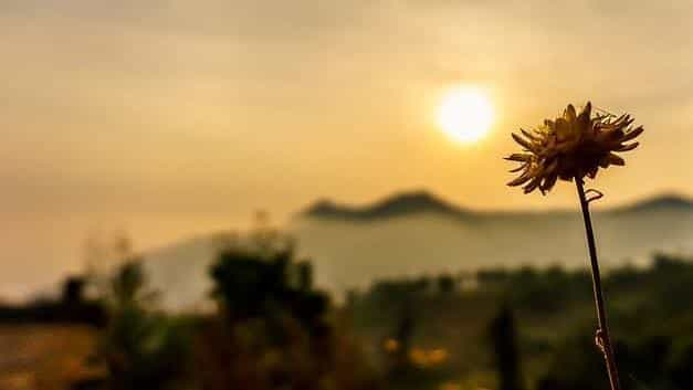 懂生活的人处处风景