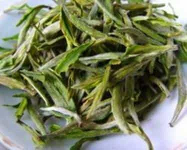 仙人掌茶的传说