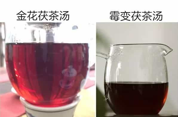 金花茯茶是什么？