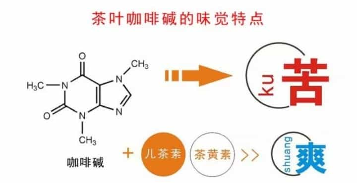 什么是六堡茶，六堡茶入门知识大全