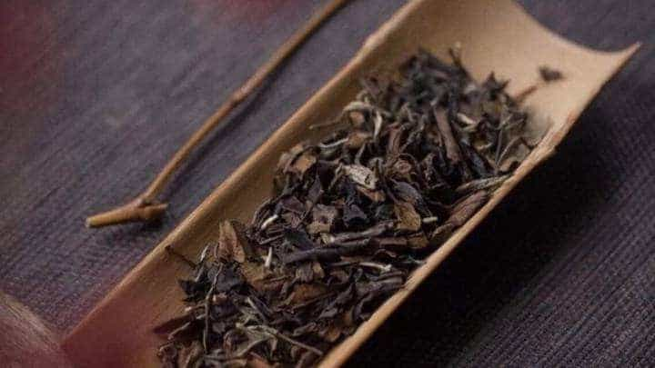 白茶和普洱茶的区别