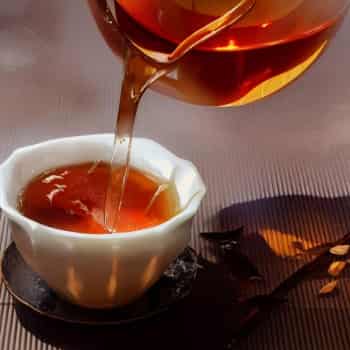 探寻英德红茶的顶级品种