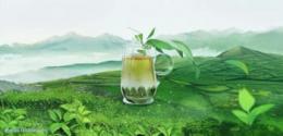 碧螺春绿茶：疏通经络，润肠排毒，降压养生的绿色饮品