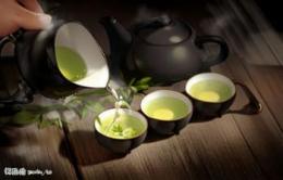 探究普洱茶的茶种归属及其饮用特色