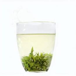 绿茶减肥法：喝对绿茶的方法，告别烦恼体重！