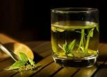 绿茶是否适合日常饮用？