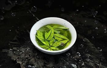 茉莉绿茶：健康美肤茶